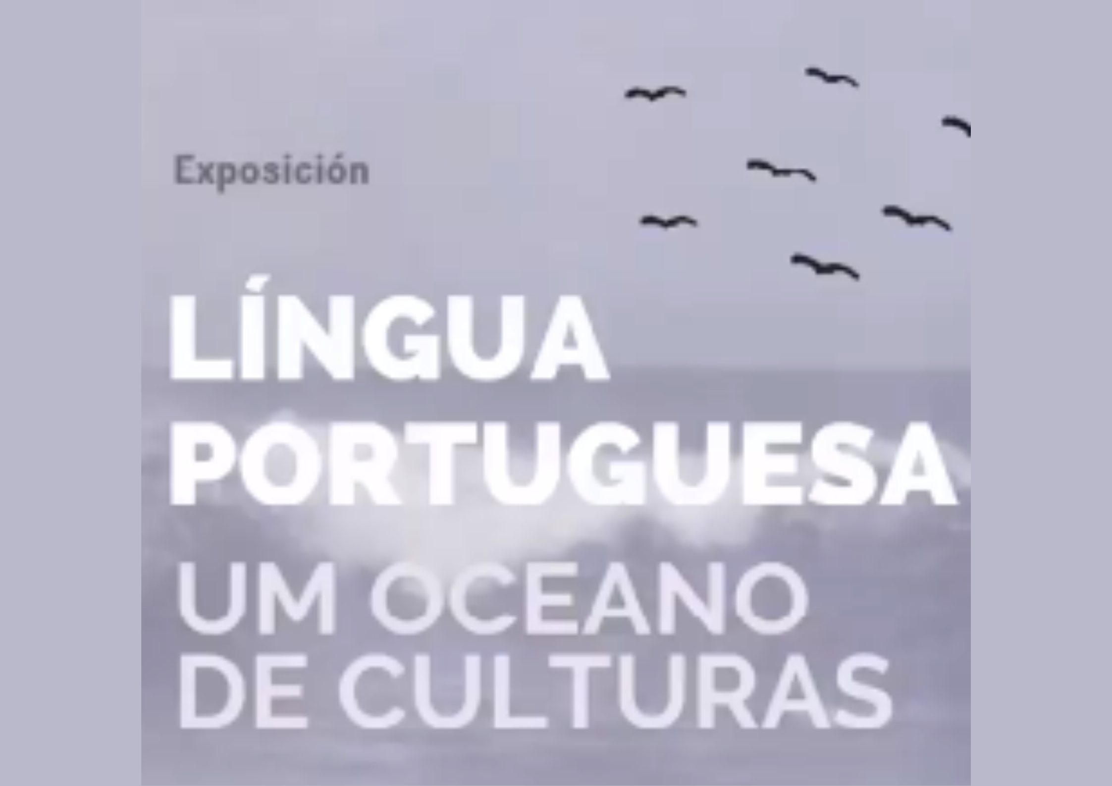 Um oceano de culturas