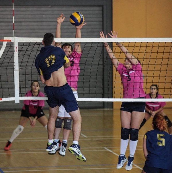 Voleibol