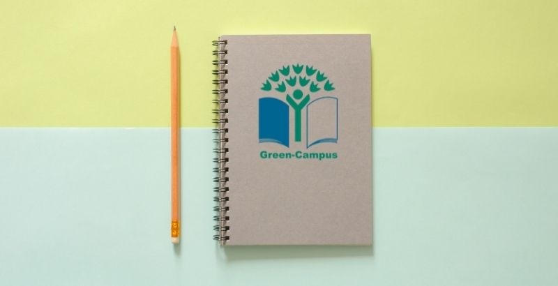 Acta constitución comité ambiental