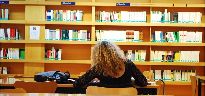 Investigadores visitantes