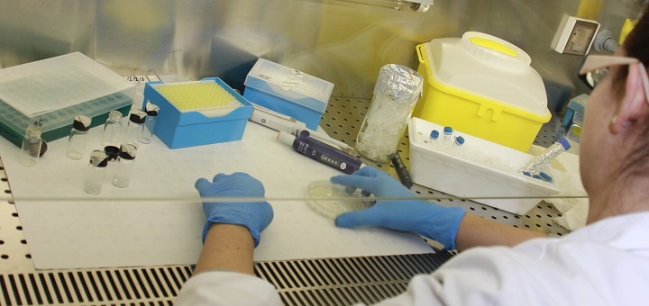 Vicerrectorado de Investigación y Transferencia