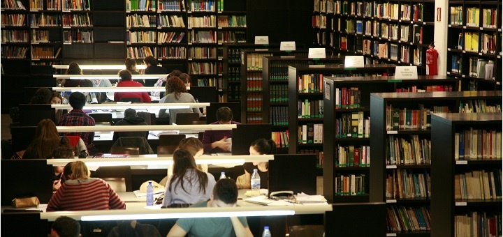 International support