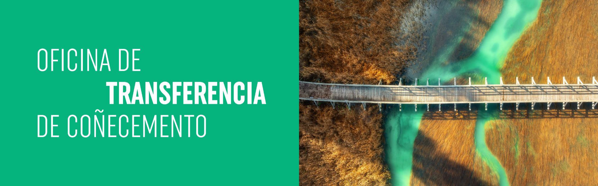 Cabecera OTC