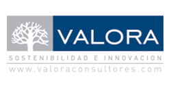 Valora Consultores