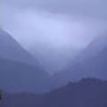 selva