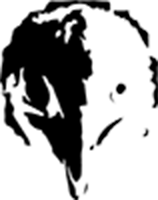 Canvas Logo